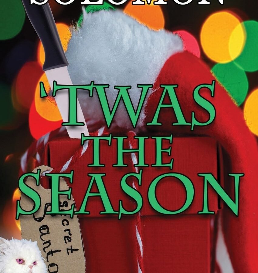 'Twas the Season by Susan Solomon